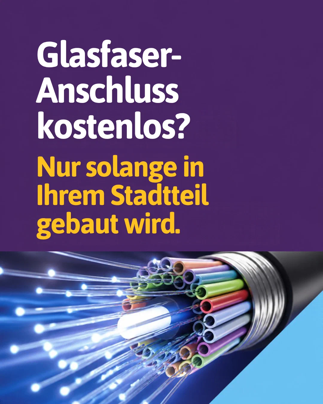 Free fibre connection? Only while construction continues in your district. Photo of a fibre cable with coloured cores.